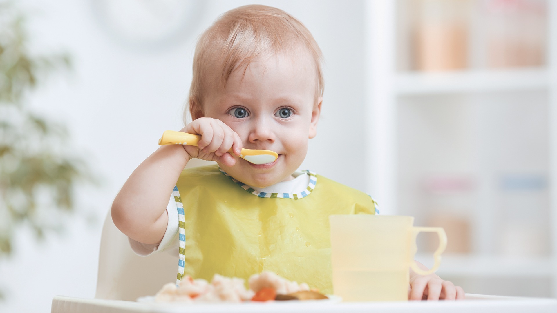 7 hónapos baba étrend minta: Leírná nekem egy 10 hónapos csecsemő napi étrendjét.